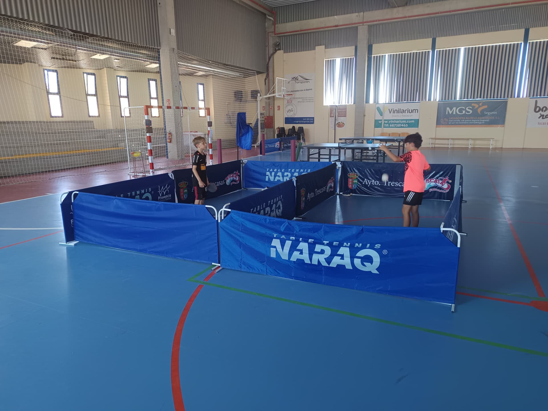 Partida en la arena de vallas del campamento Ping Royale