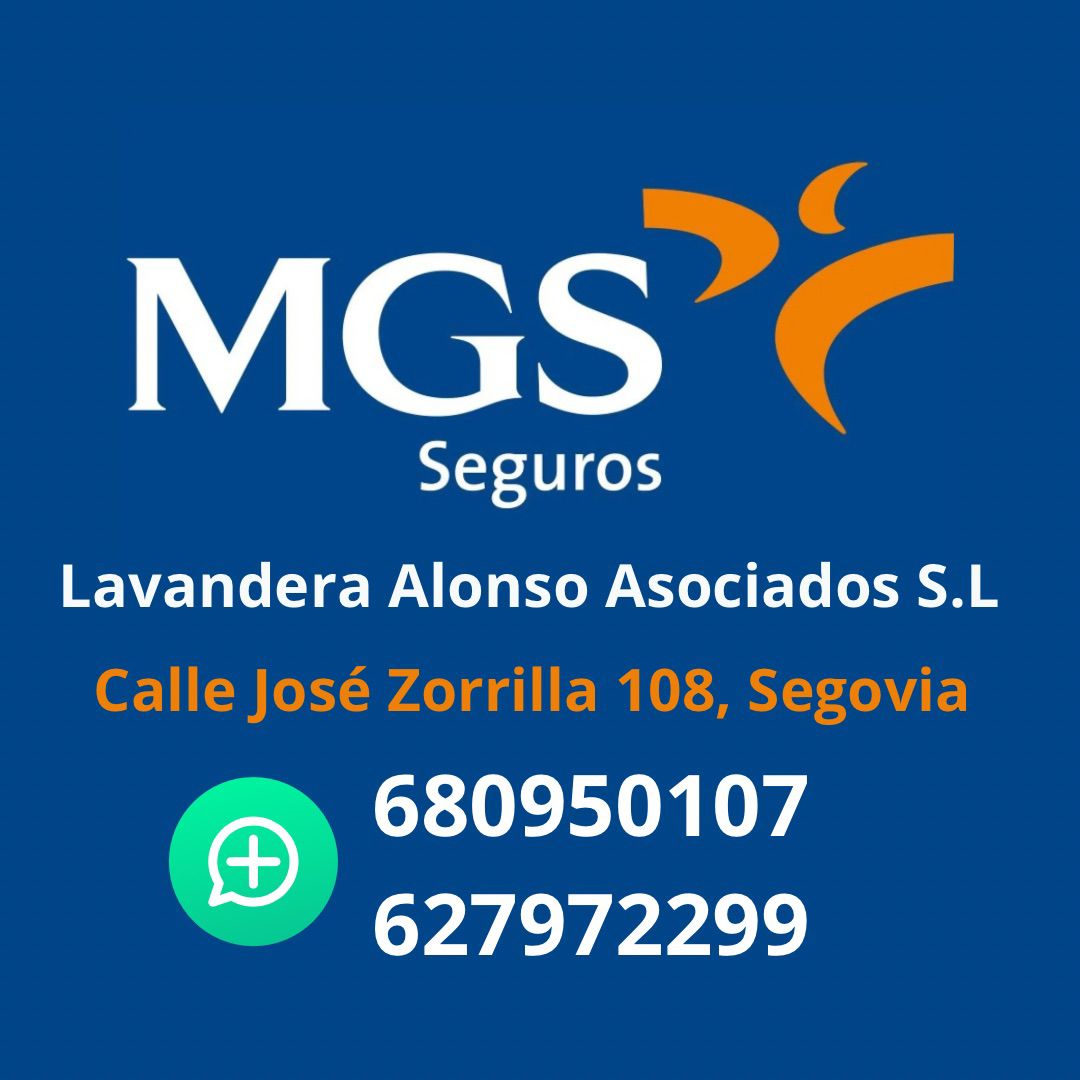 MGS Seguros – Lavandera Alonso Asociados